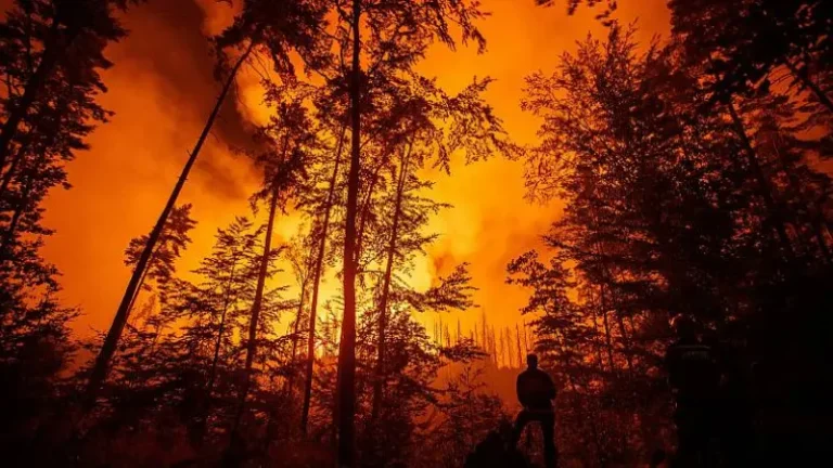 Přečtete si více ze článku Czech Press Photo 2023 zná své vítěze. Letošku dominovala Ukrajina i požáry v Českém Švýcarsku