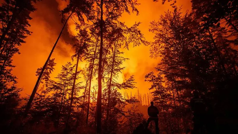 Přečtete si více ze článku Czech Press Photo 2023 zná své vítěze. Letošku dominovala Ukrajina i požáry v Českém Švýcarsku